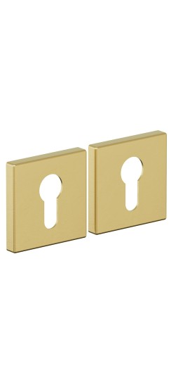 Накладка под цилиндр Bravo AS-3CL, цвет: SGold Накладка под цилиндр Bravo AS-3CL, цвет: SGold