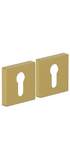 Накладка под цилиндр Bravo AS-6CL, цвет: SGold Накладка под цилиндр Bravo AS-6CL, цвет: SGold