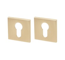 Накладка под цилиндр ET.K.YM FSG-39 флор. золото